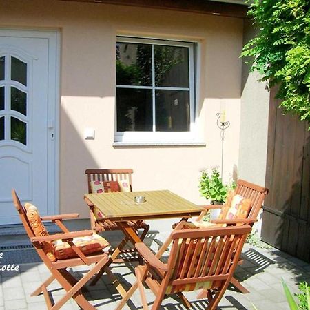 Ferienwohnungen _ Haus Lisa_ Senftenberg Exterior foto